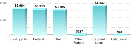 Average amount of grant aid received by type Total grants: $3,984 Federal: $3,913 Pell: $3,785 Other Federal: $227 (!) State/Local: $4,347 Institutional: $94